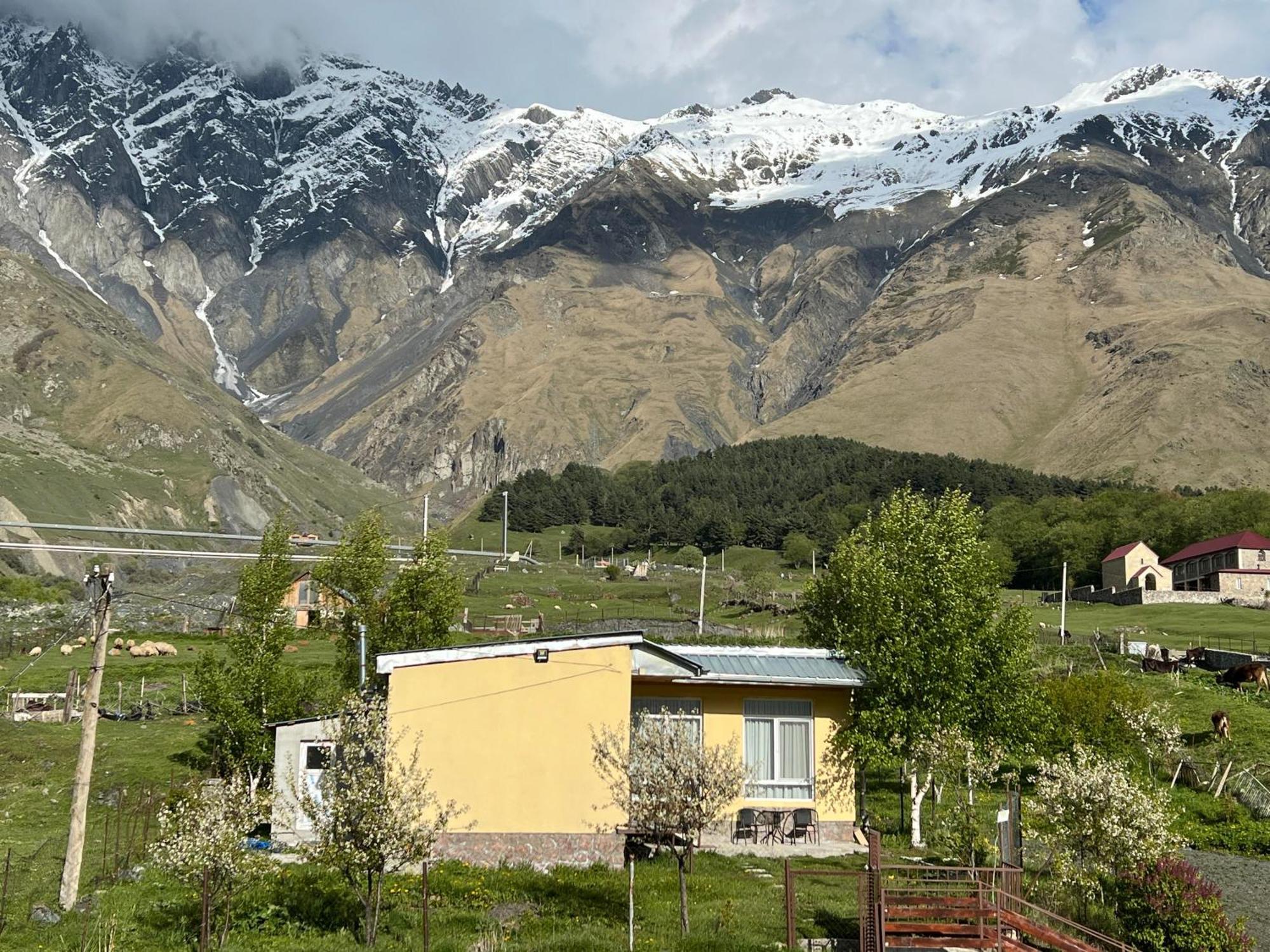 Mountain Kazbegi Apartment Buitenkant foto